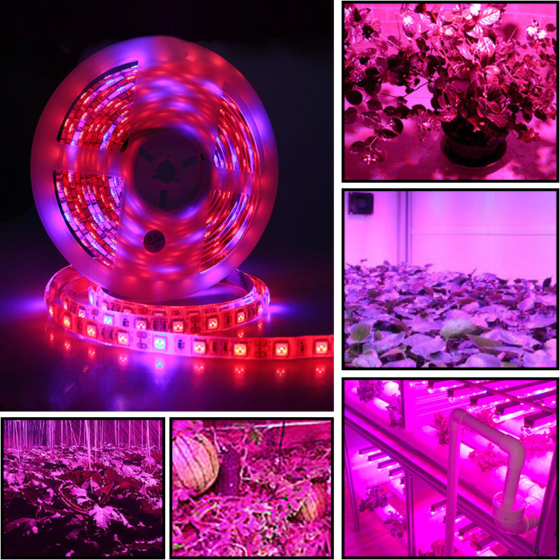 Led plant growth soft light bar 5M
