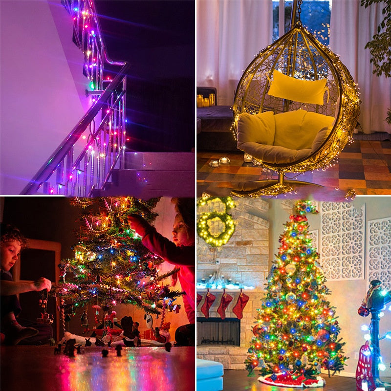 LED Lighting Chain 24v Low Voltage Small Coloured Lights 220V110V