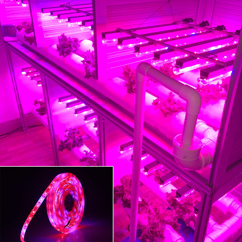 Led plant growth soft light bar 5M